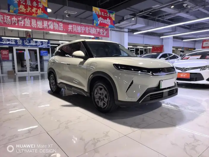 Yuan UP 2025 Model 301KM Pilot Model – фото 3
