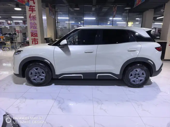 Yuan UP 2025 Model 301KM Pilot Model – фото 4