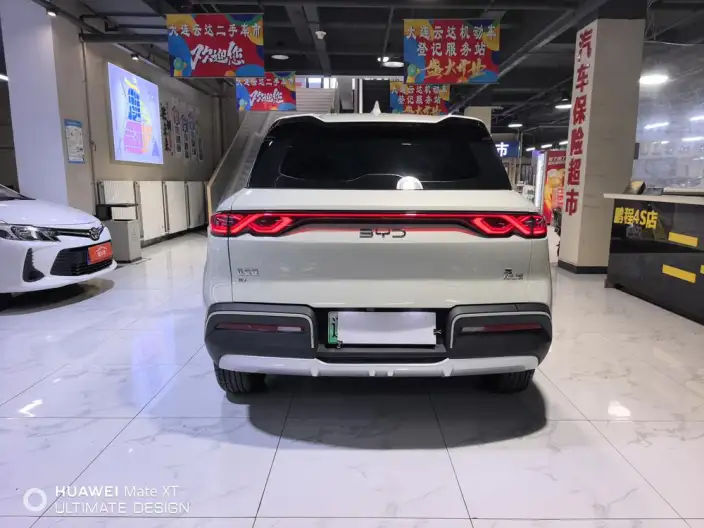 Yuan UP 2025 Model 301KM Pilot Model – фото 6