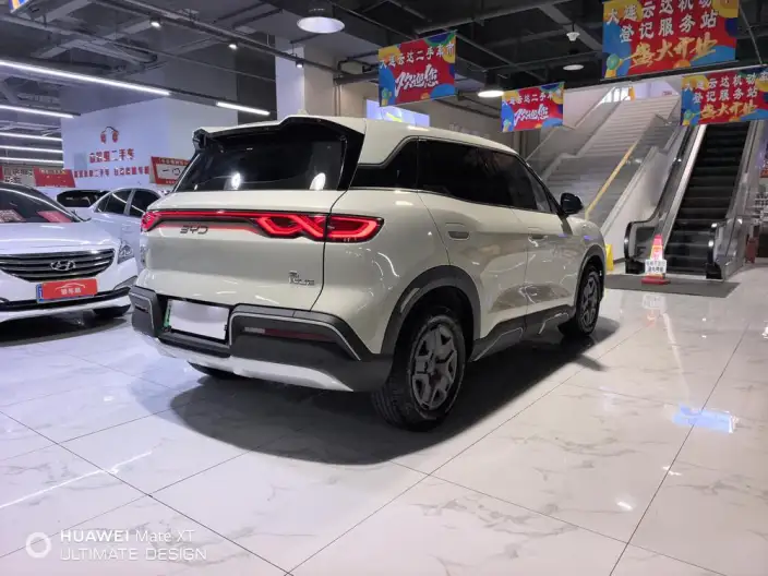 Yuan UP 2025 Model 301KM Pilot Model – фото 7