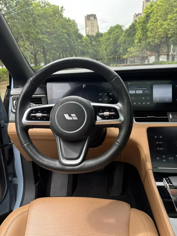 Li Auto ONE 2021 Model Extended Range 6 seat Edition – фото 8