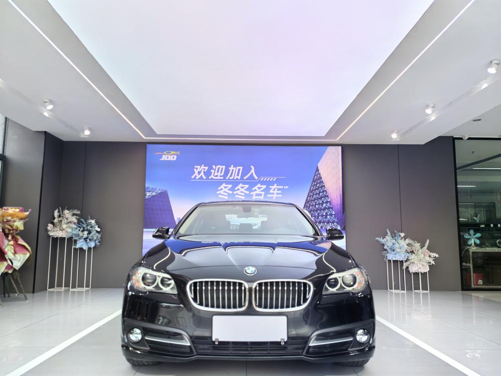 BMW 5 Series 2017 модификация 520Li Elegance – фото 2