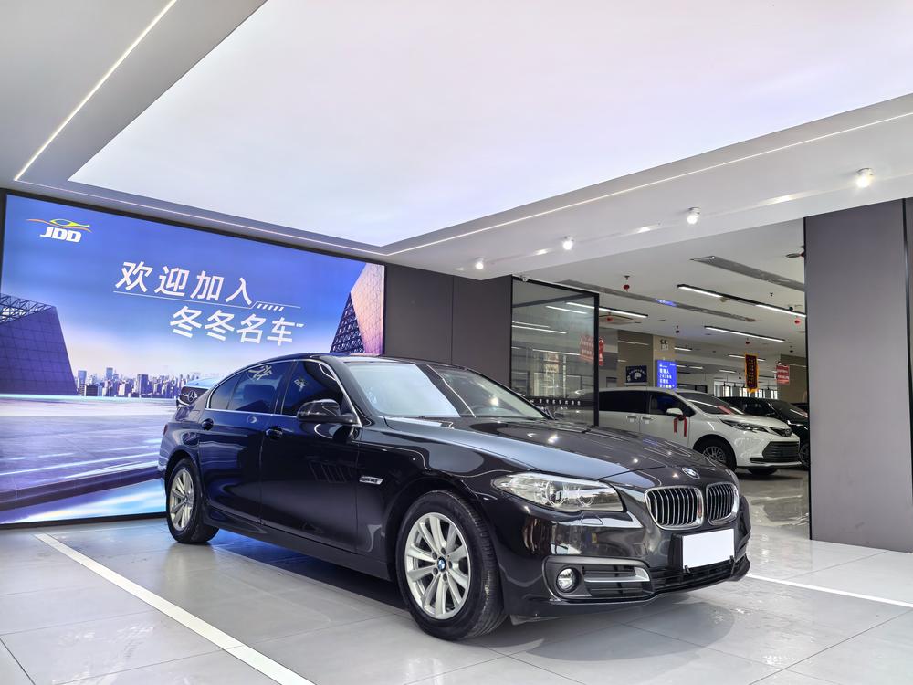 BMW 5 Series 2017 модификация 520Li Elegance – фото 3