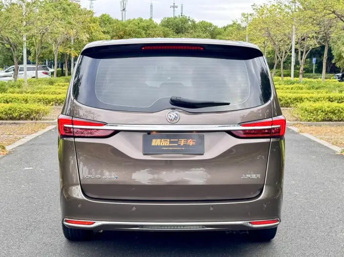 Buick GL8 2023 Model Business class 2.0T Comfort Model – фото 6