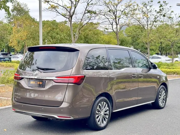 Buick GL8 2023 Model Business class 2.0T Comfort Model – фото 7