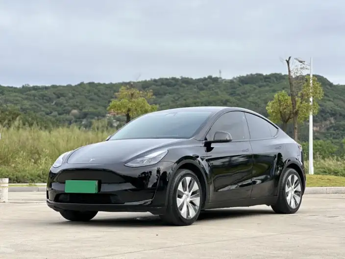 Model Y 2022 Model Facelift Rear-wheel drive version – фото 1