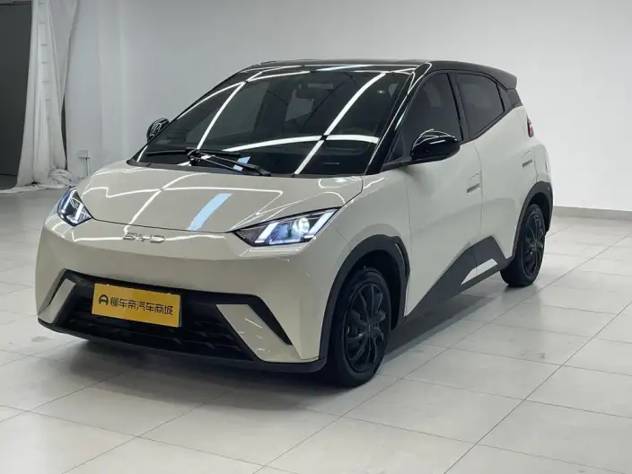 BYD Seagull 2024 Model Honor Edition 305KM Vitality Edition – фото 1