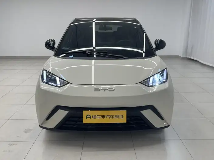 BYD Seagull 2024 Model Honor Edition 305KM Vitality Edition – фото 2