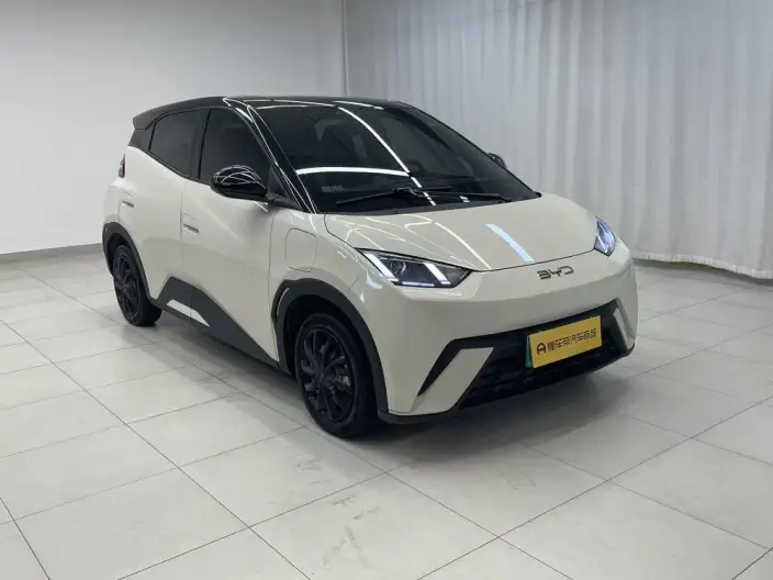 BYD Seagull 2024 Model Honor Edition 305KM Vitality Edition – фото 3