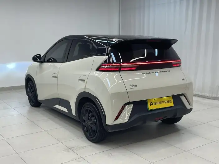 BYD Seagull 2024 Model Honor Edition 305KM Vitality Edition – фото 5