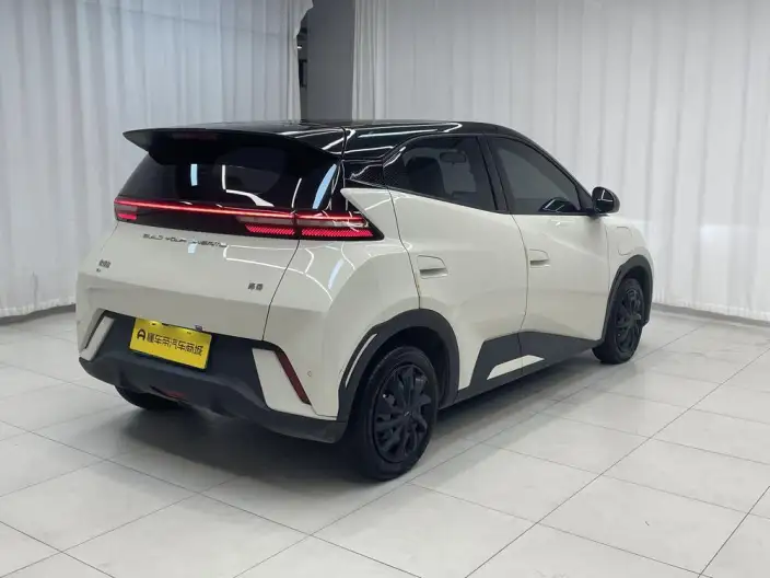 BYD Seagull 2024 Model Honor Edition 305KM Vitality Edition – фото 7