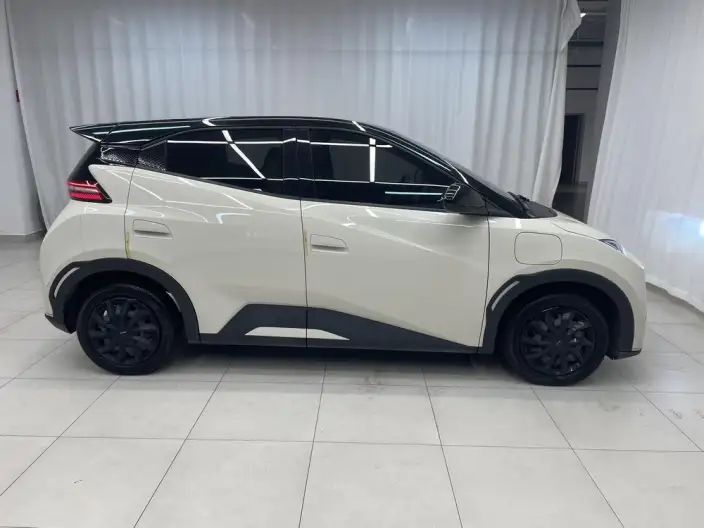 BYD Seagull 2024 Model Honor Edition 305KM Vitality Edition – фото 8