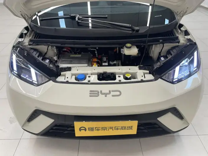 BYD Seagull 2024 Model Honor Edition 305KM Vitality Edition – фото 10