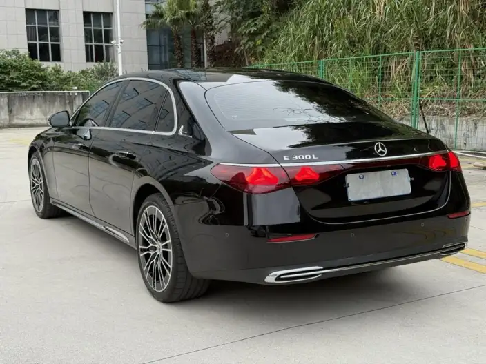 Mercedes-Benz E-Class 2025 Model Facelift E 300 L Noble Model sedan – фото 4