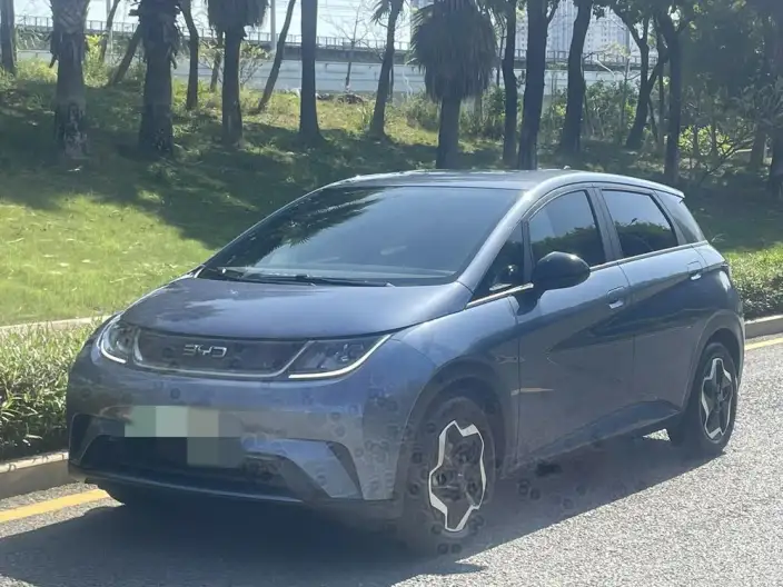 BYD Dolphin 2025 Model 420KM Vitality Edition – фото 1