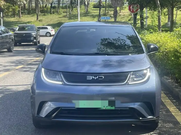 BYD Dolphin 2025 Model 420KM Vitality Edition – фото 2