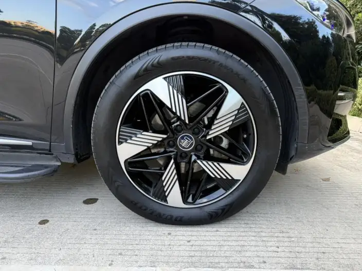 BYD Tang DM 2023 Model DM-i Champion Edition 112KM Zunrong Model – фото 6