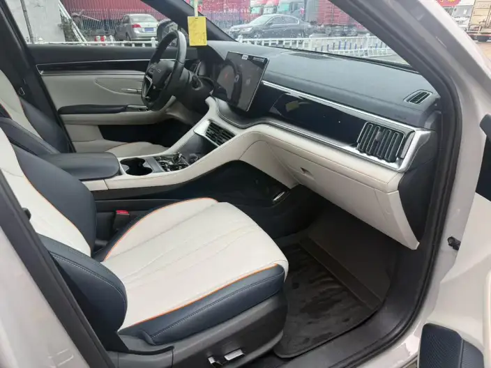 BYD Song PLUS EV 2024 Model Honor Edition 520KM Noble Model – фото 7