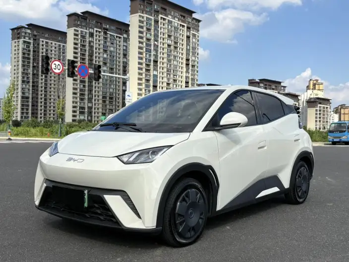 BYD Seagull 2025 Model 305KM Vitality Edition – фото 1
