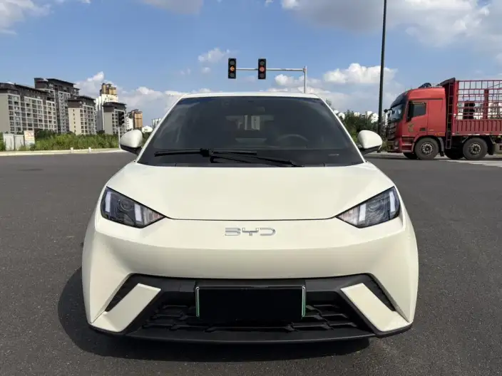 BYD Seagull 2025 Model 305KM Vitality Edition – фото 2