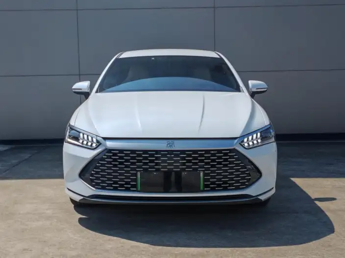 BYD Qin PLUS DM 2024 Model Honor Edition DM-i 55KM Leading Model – фото 2