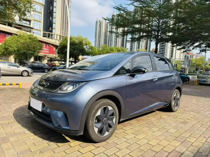 BYD Dolphin 2025 Model 420KM Free Edition – фото 1