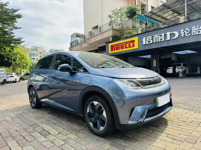 BYD Dolphin 2025 Model 420KM Free Edition – фото 2