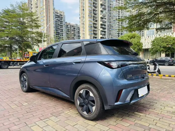 BYD Dolphin 2025 Model 420KM Free Edition – фото 4