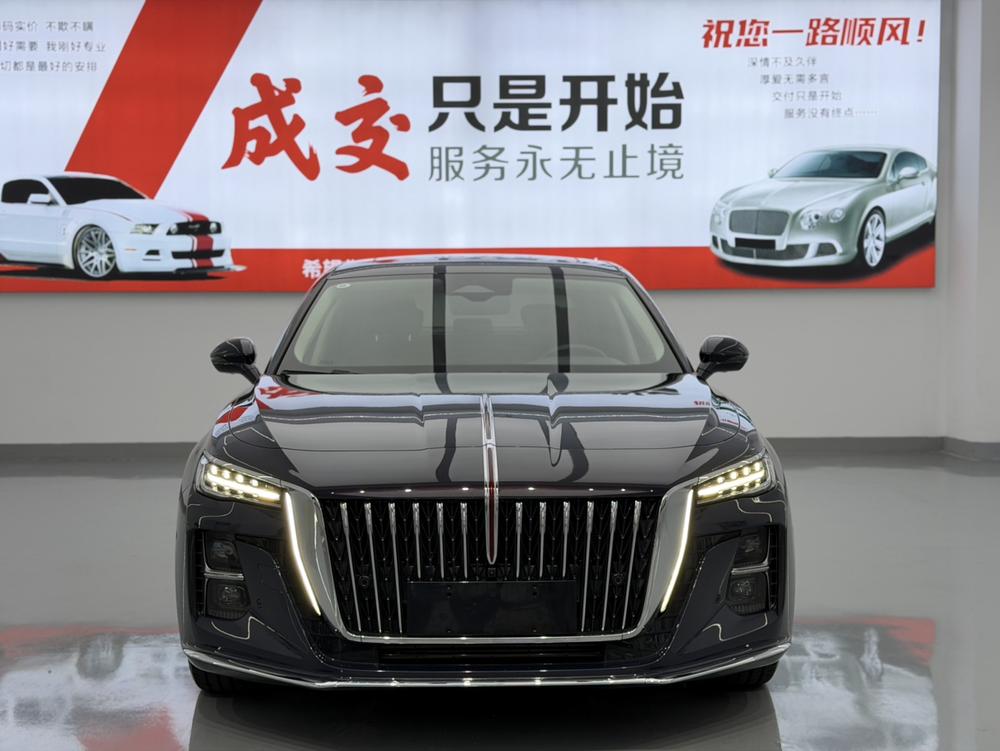 Hongqi H5 2023 2.0T Automatic Connected Qiling – фото 2