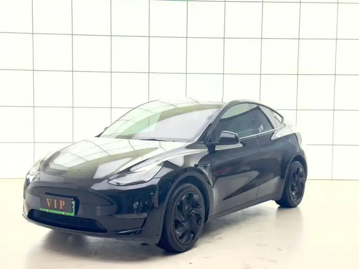 Model Y 2023 Model Long Battery Life Pro All-wheel drive version – фото 1