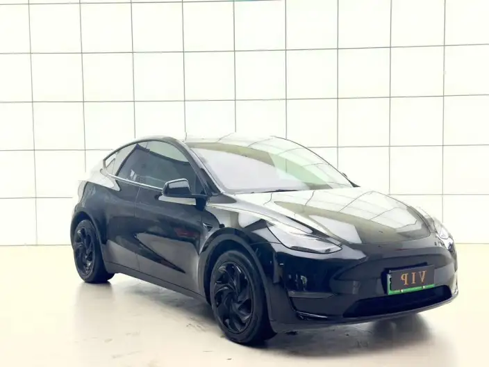 Model Y 2023 Model Long Battery Life Pro All-wheel drive version – фото 3