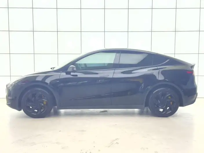 Model Y 2023 Model Long Battery Life Pro All-wheel drive version – фото 4