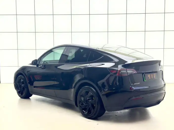 Model Y 2023 Model Long Battery Life Pro All-wheel drive version – фото 5