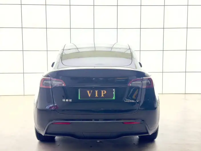 Model Y 2023 Model Long Battery Life Pro All-wheel drive version – фото 6