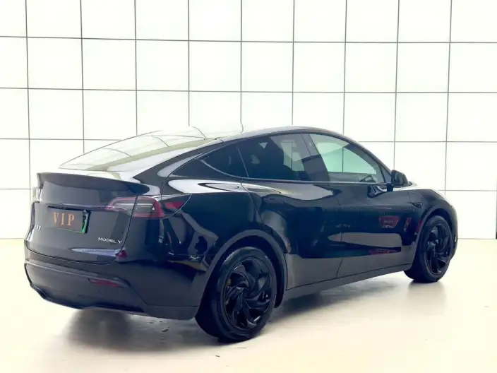 Model Y 2023 Model Long Battery Life Pro All-wheel drive version – фото 7