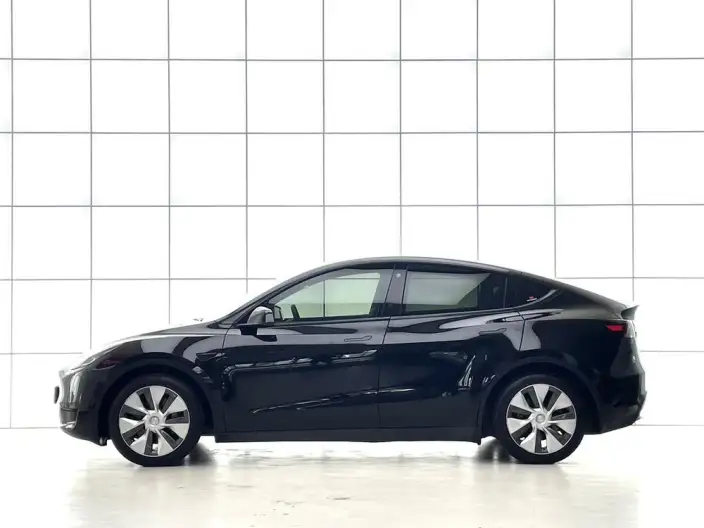 Model Y 2022 Model Facelift Rear-wheel drive version – фото 4