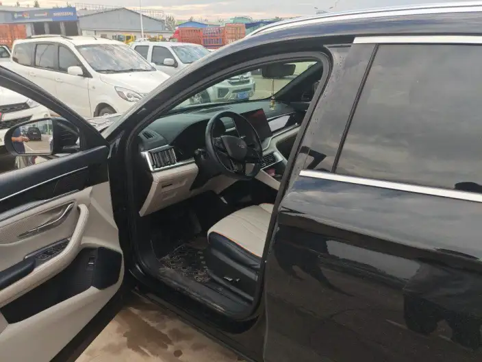 BYD Song PLUS EV 2024 Model Honor Edition 520KM Noble Model – фото 10