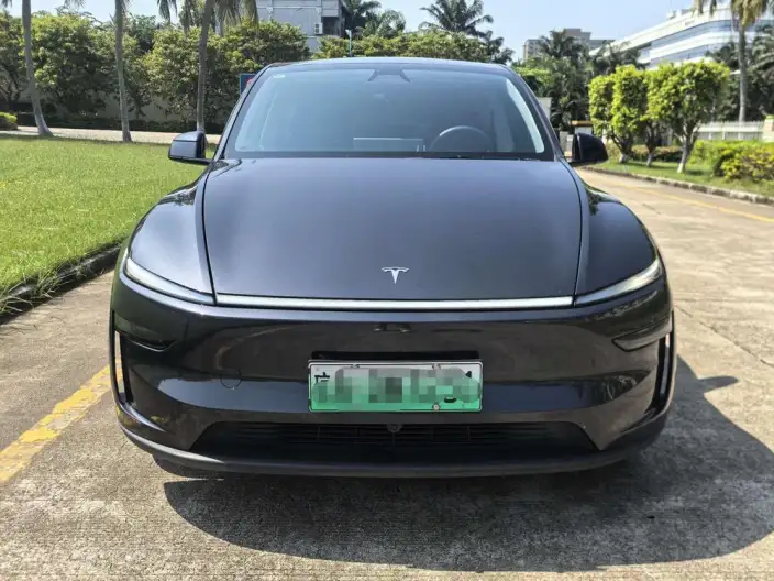 Model Y 2025 Model Rear-wheel drive version – фото 2