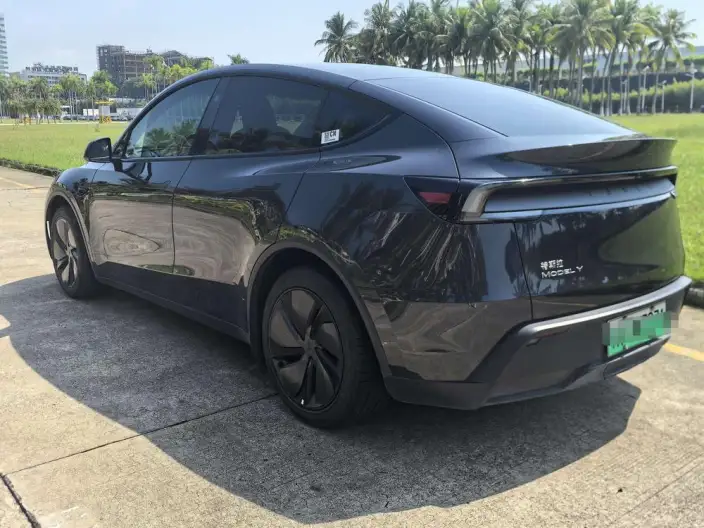 Model Y 2025 Model Rear-wheel drive version – фото 4