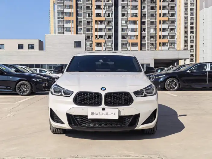 BMW X2 2022 Model xDrive25i Night Edition Edition – фото 2