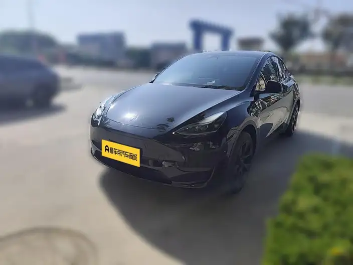 Model Y 2023 Model Rear-wheel drive version – фото 1