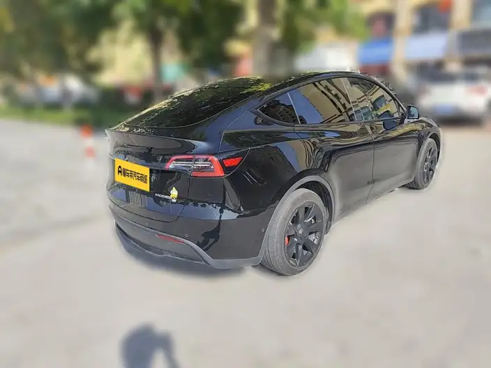 Model Y 2023 Model Rear-wheel drive version – фото 2