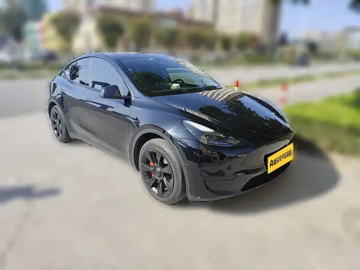 Model Y 2023 Model Rear-wheel drive version – фото 3