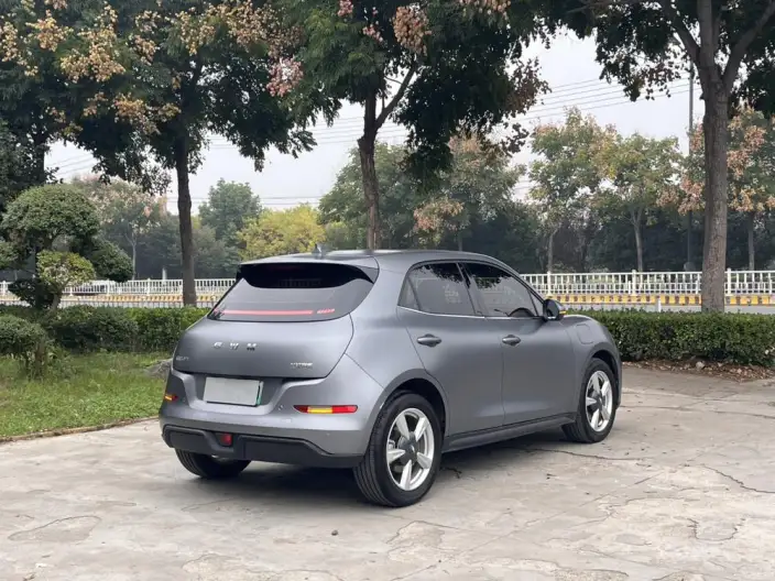 ORA Good Cat 2025 Model 430km Zunrong Model