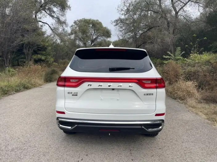 Haval M6 2023 Model PLUS 1.5T Manual Elite Smart Connect Model – фото 6