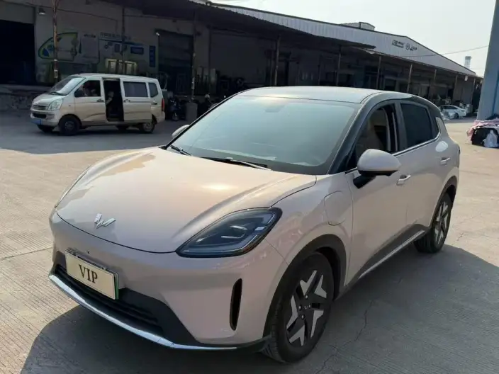 Wuling BingoS 2025 Model 430km Flagship Model