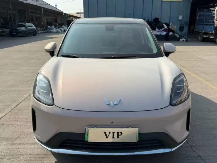 Wuling BingoS 2025 Model 430km Flagship Model
