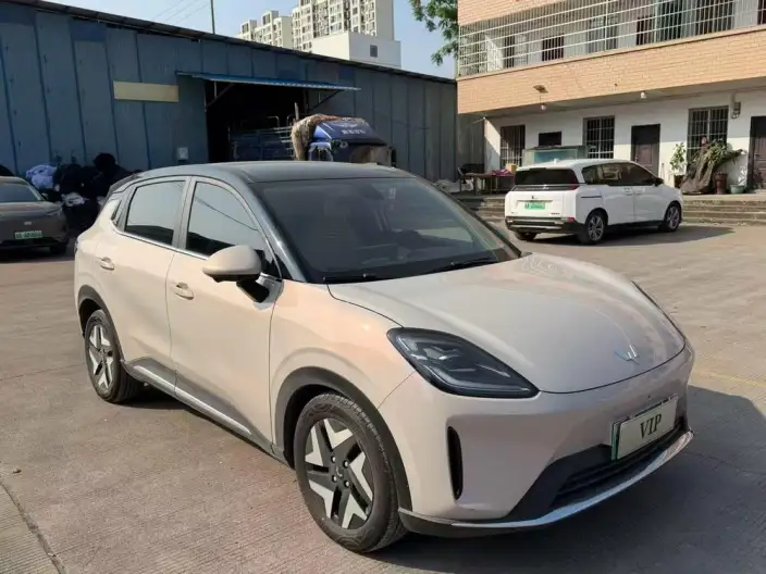 Wuling BingoS 2025 Model 430km Flagship Model