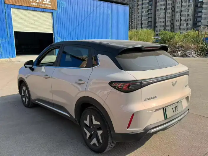 Wuling BingoS 2025 Model 430km Flagship Model