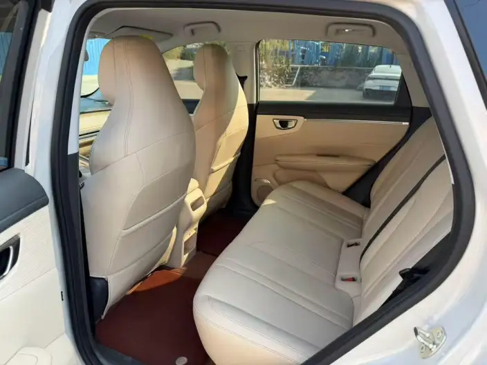 Wuling BingoS 2025 Model 430km Flagship Model – фото 10